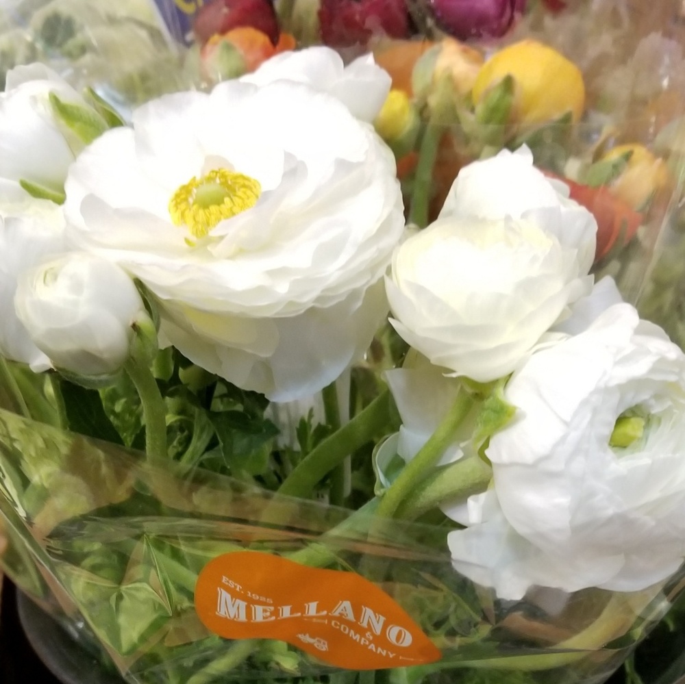 Meet your Posher, Rhonda